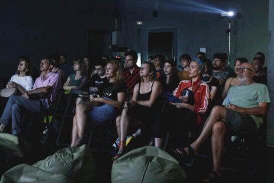 Mala škola medijske kulture