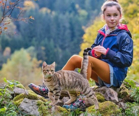 KinoKino Moj mačak Ru